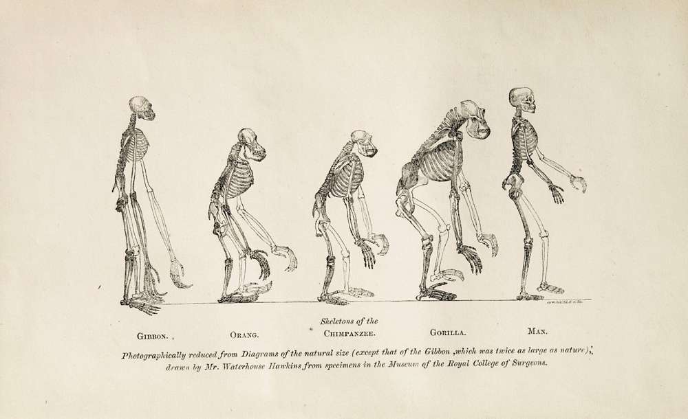 Discovering the Age of Charles Darwin