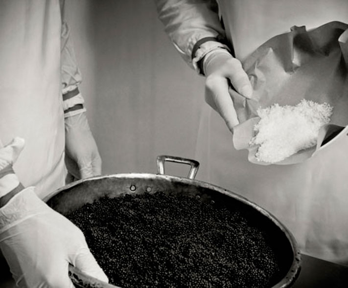 Caviar: The Story Behind the Mystery and Mystique of a Luxurious Indulgence