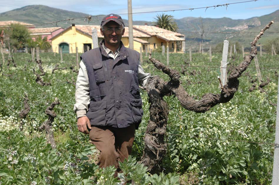 Explore the World of Etna Fine Wines with Tenuta delle Terre Nere
